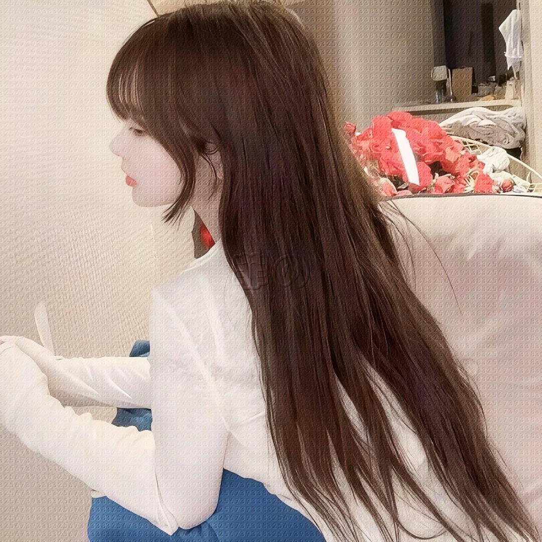 fly