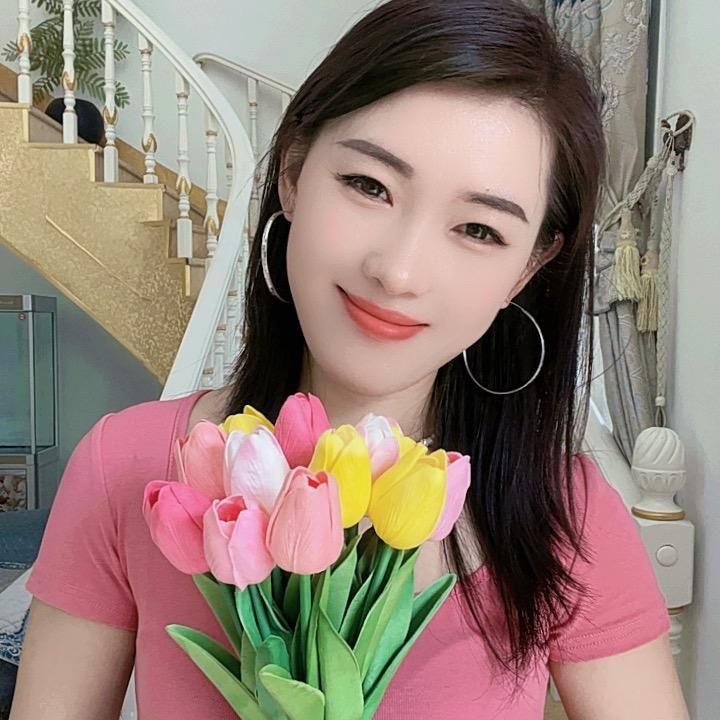 山东燕子
