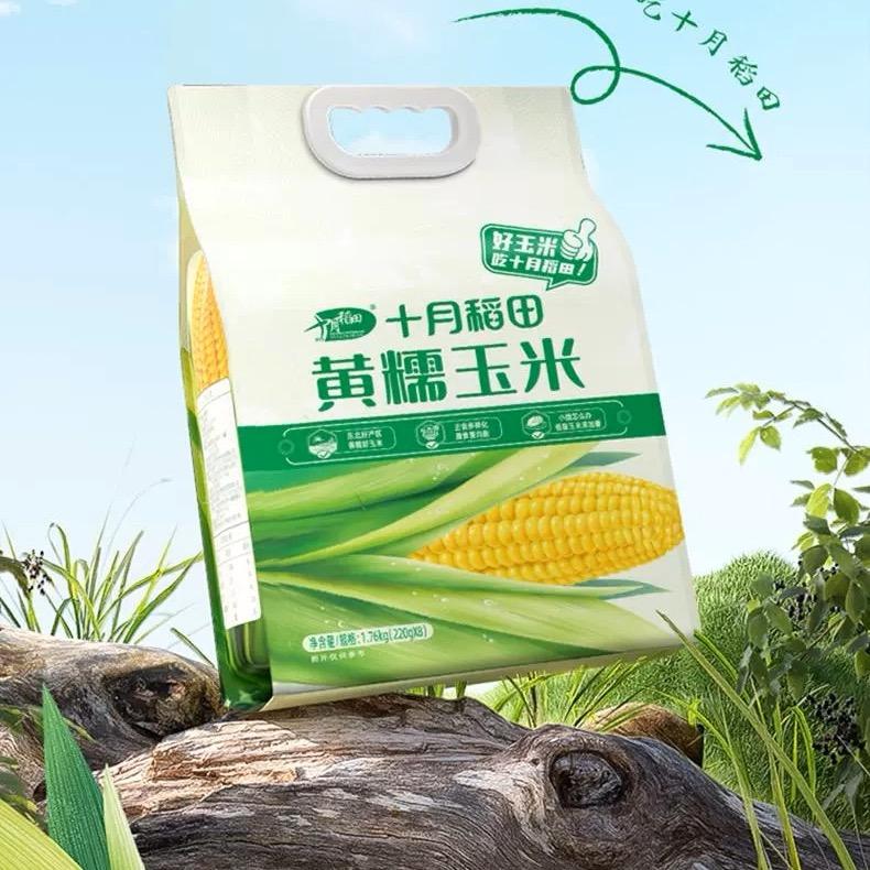 十月甜糯玉米