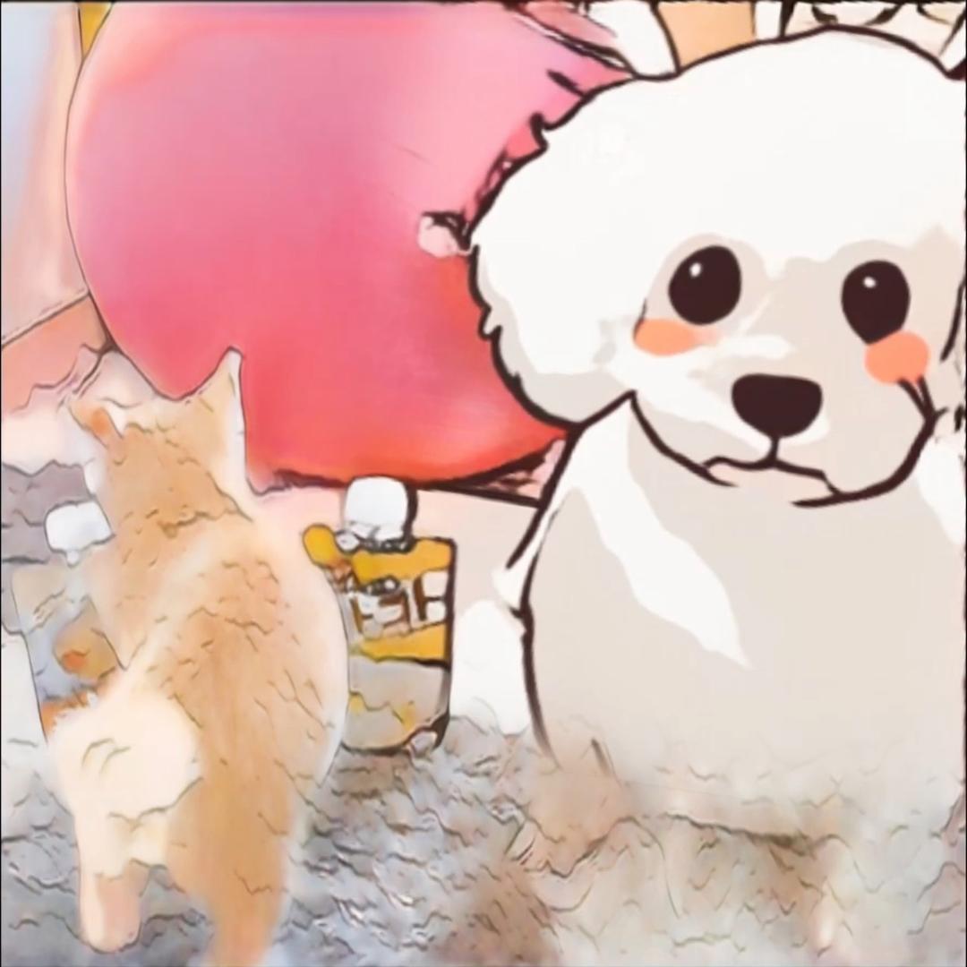 宠小胖