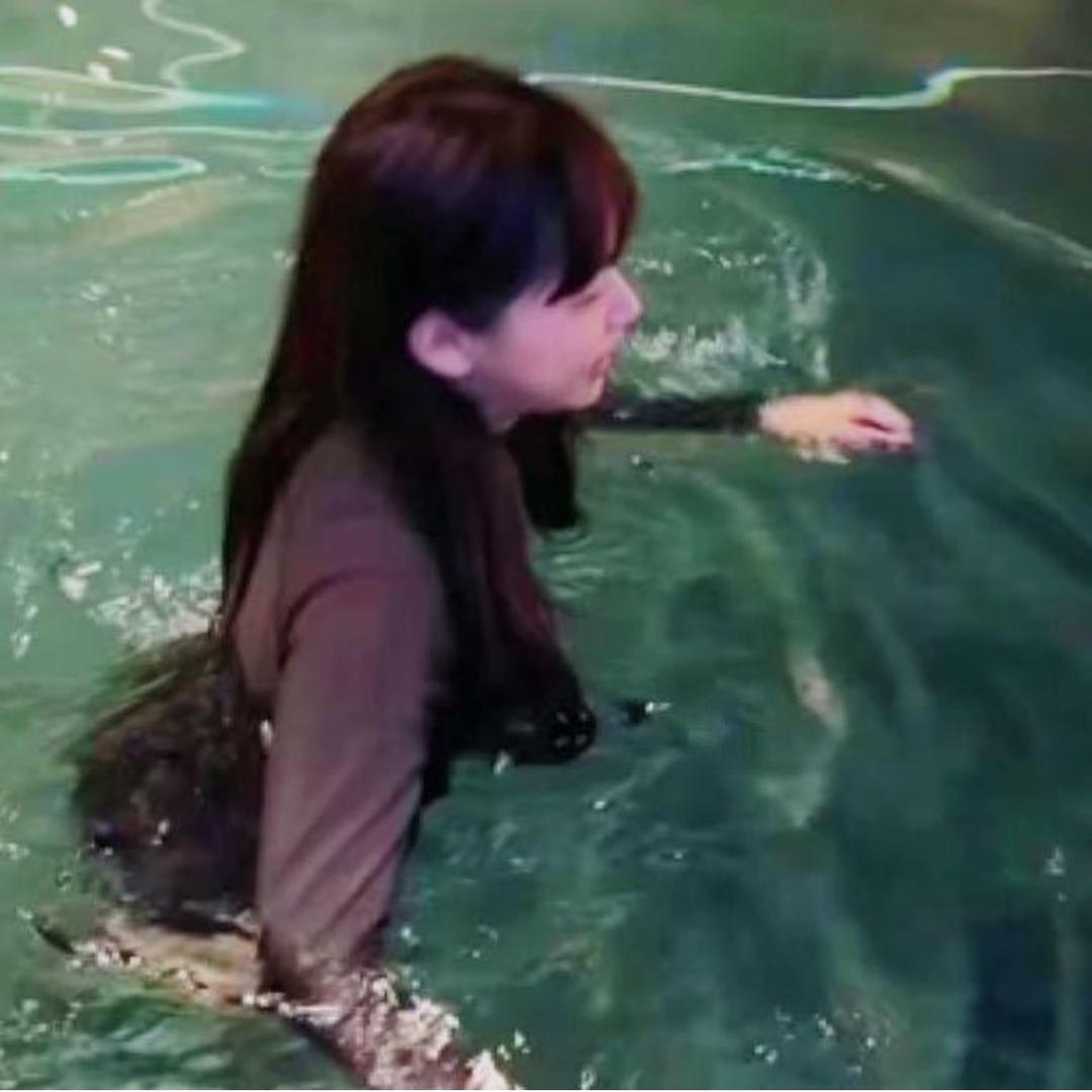 四喜丸子