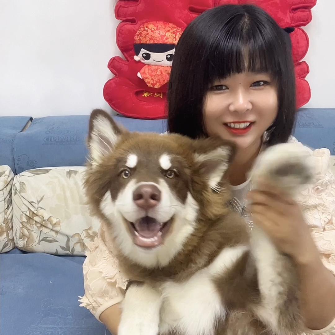 李多肉吖💋头像