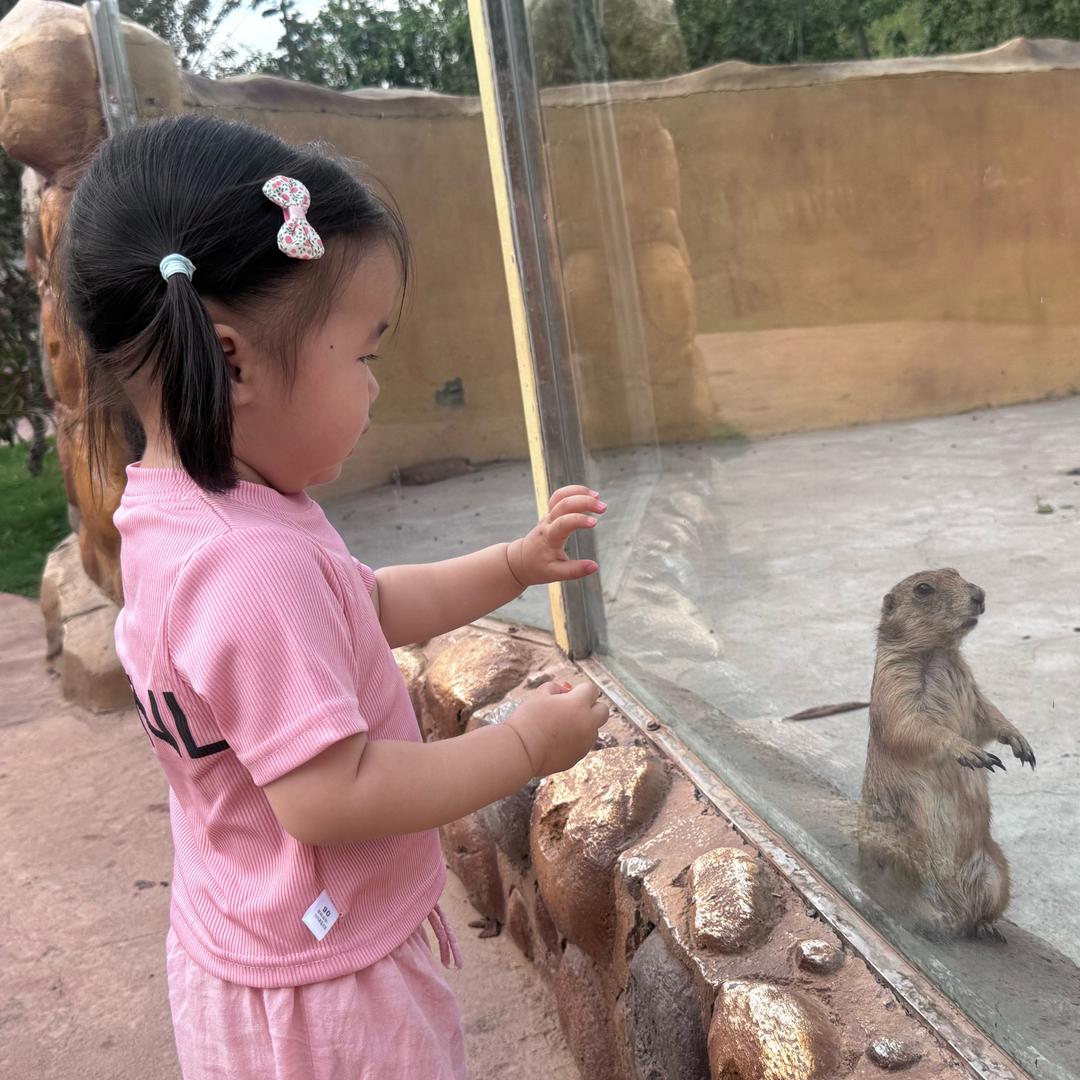 棠果宝贝～～