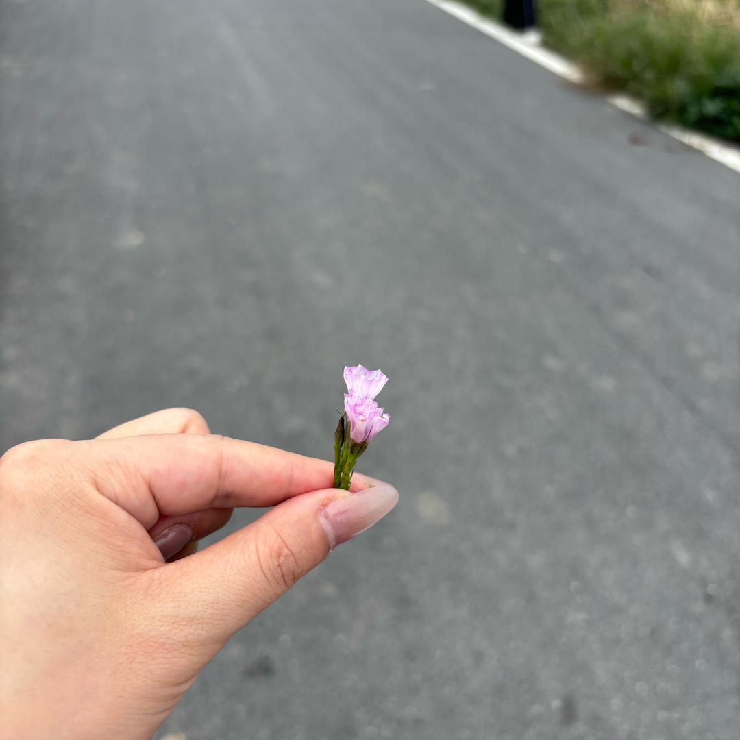 婷婷