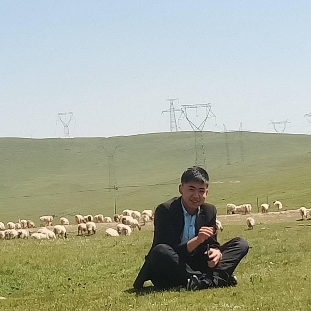 强子的日常