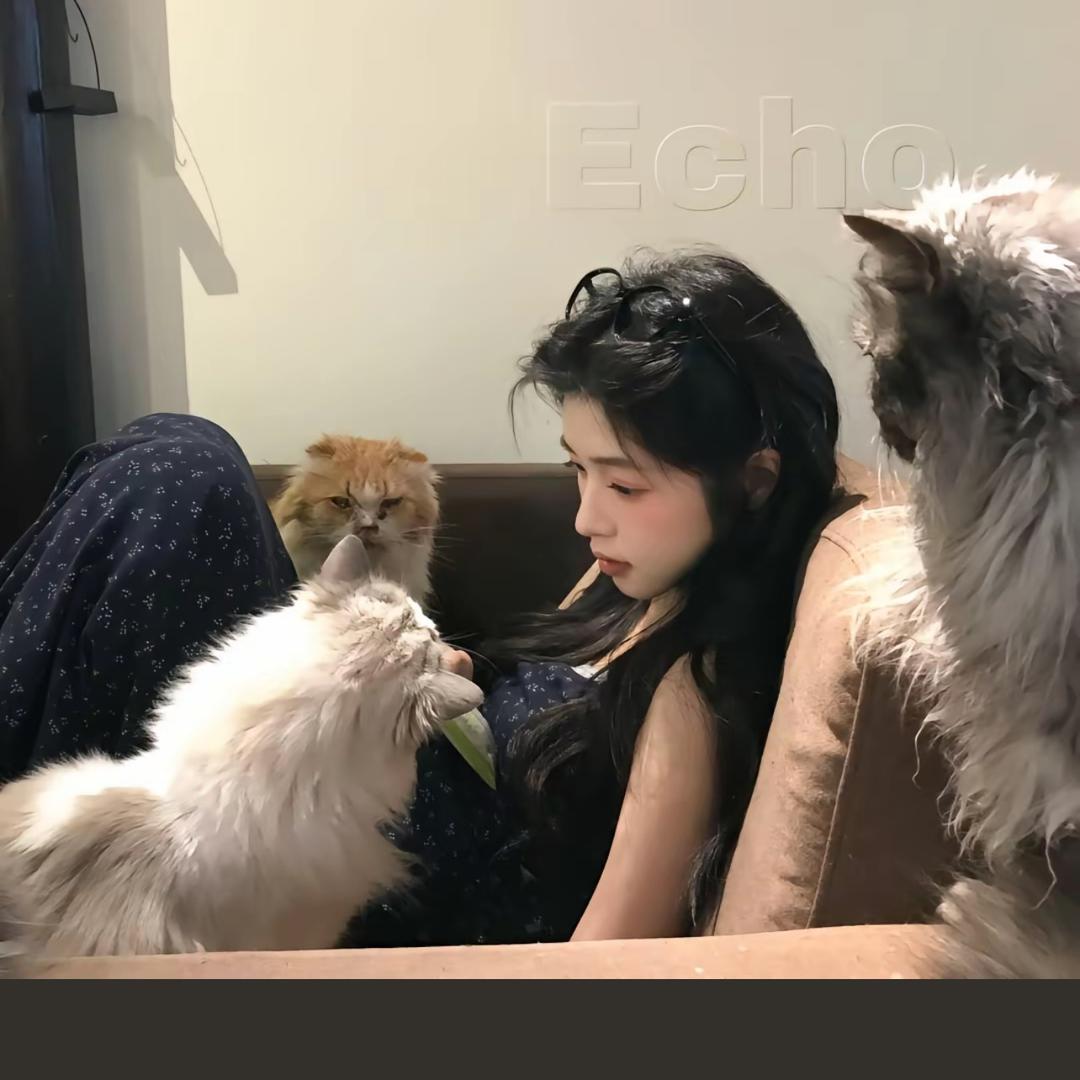 养只小猫叫失约_