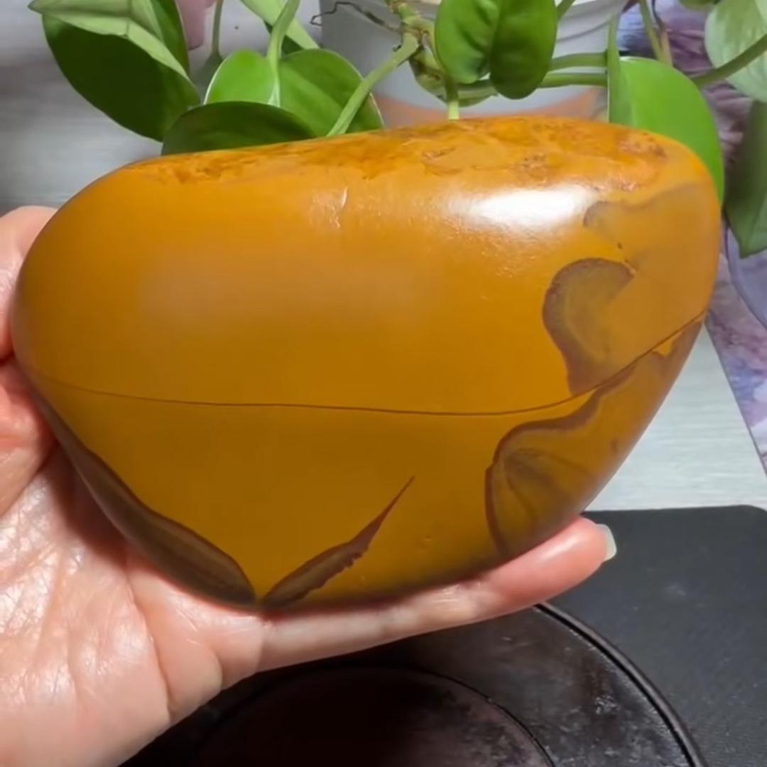 悟石缘