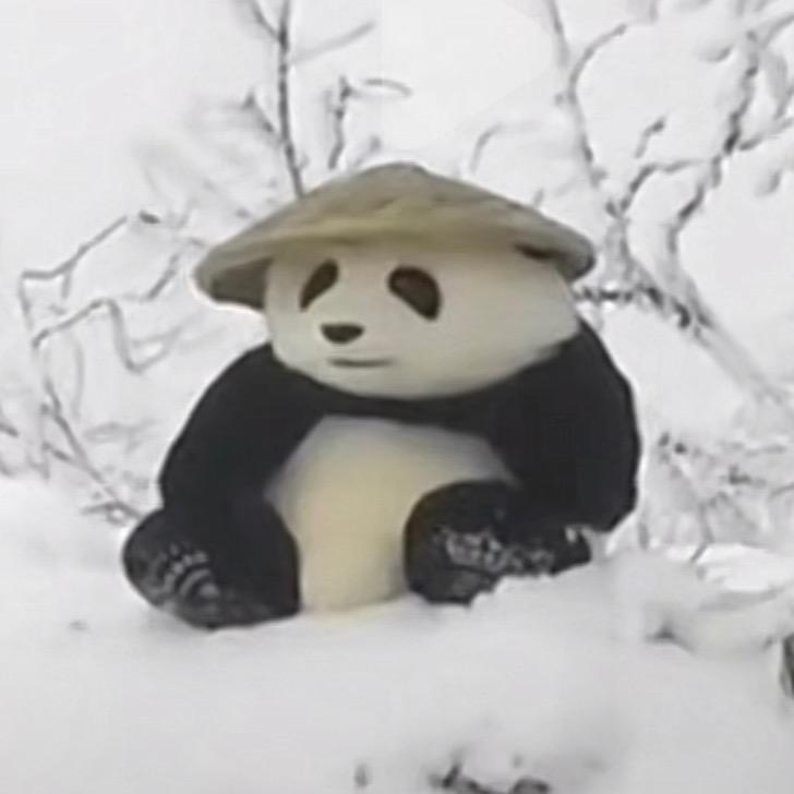 青丝半白