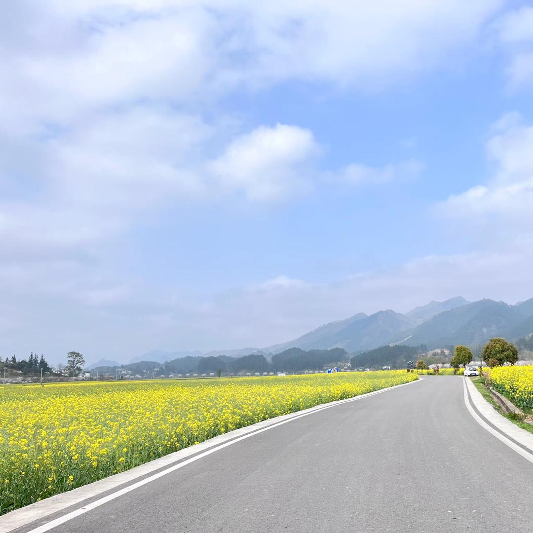 梨香田园小富