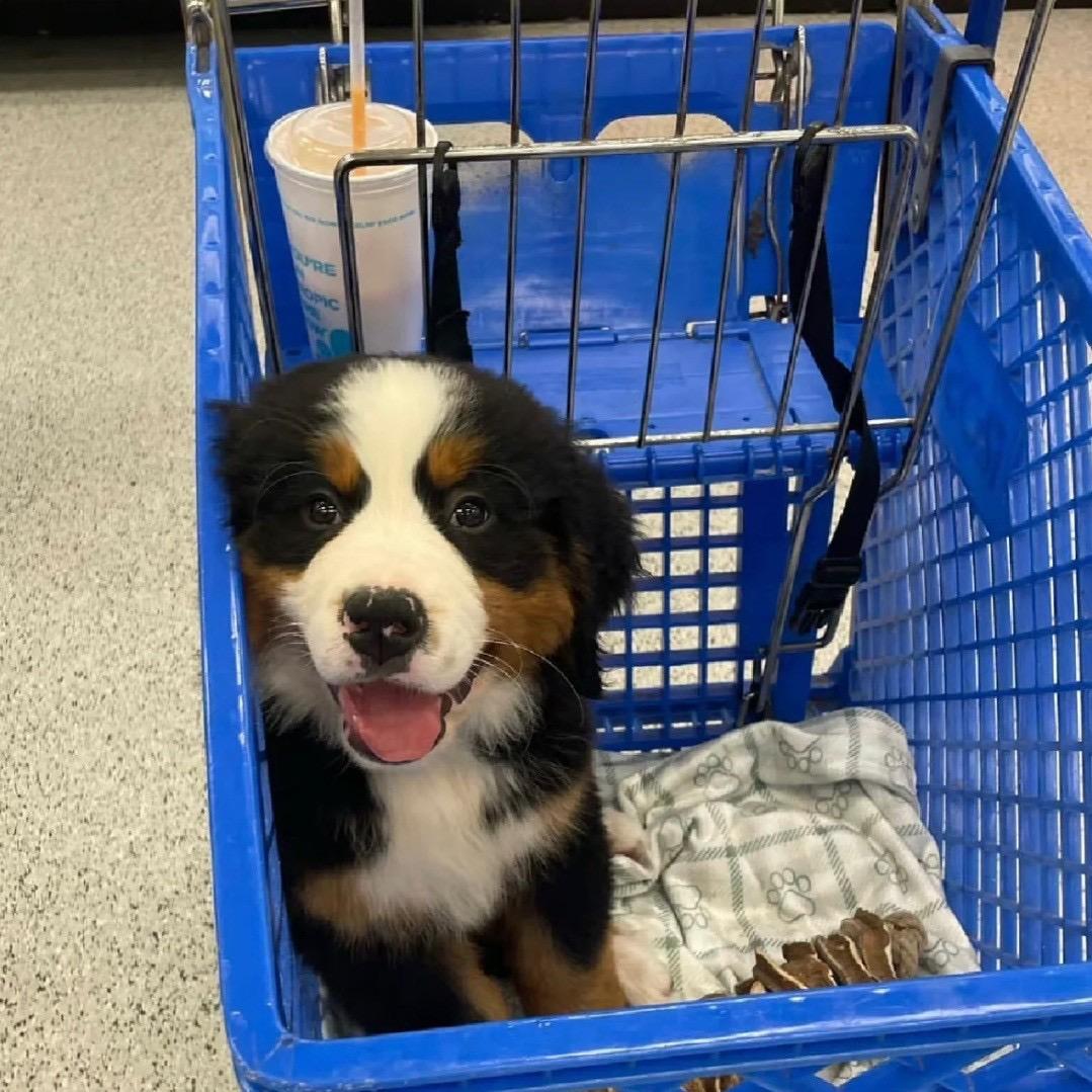 Ekko0915（无畏契约）