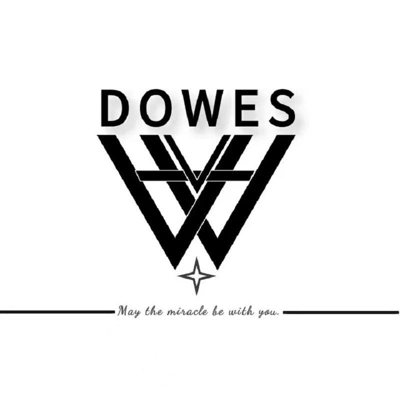 DOWES新中式