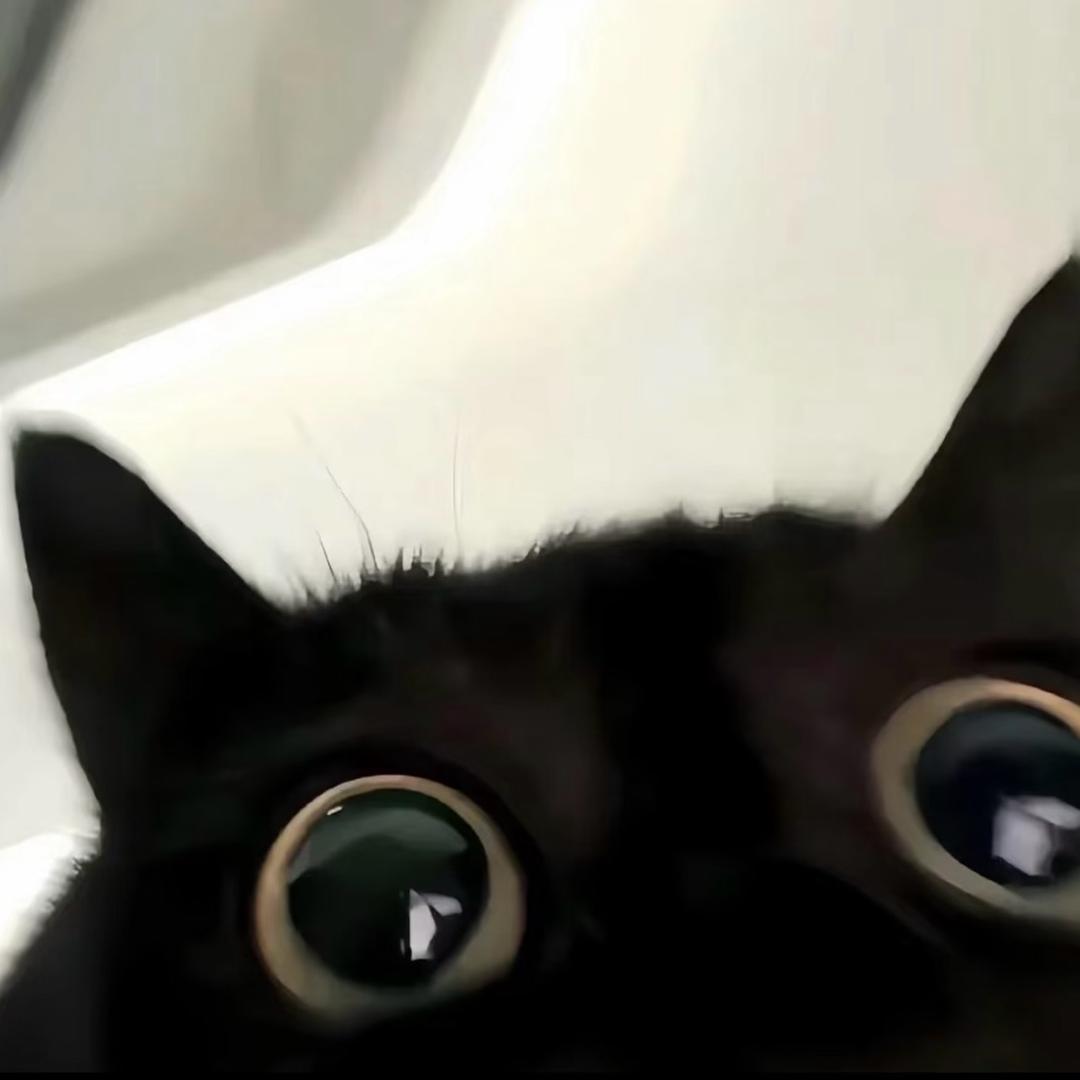 周      ㅤ