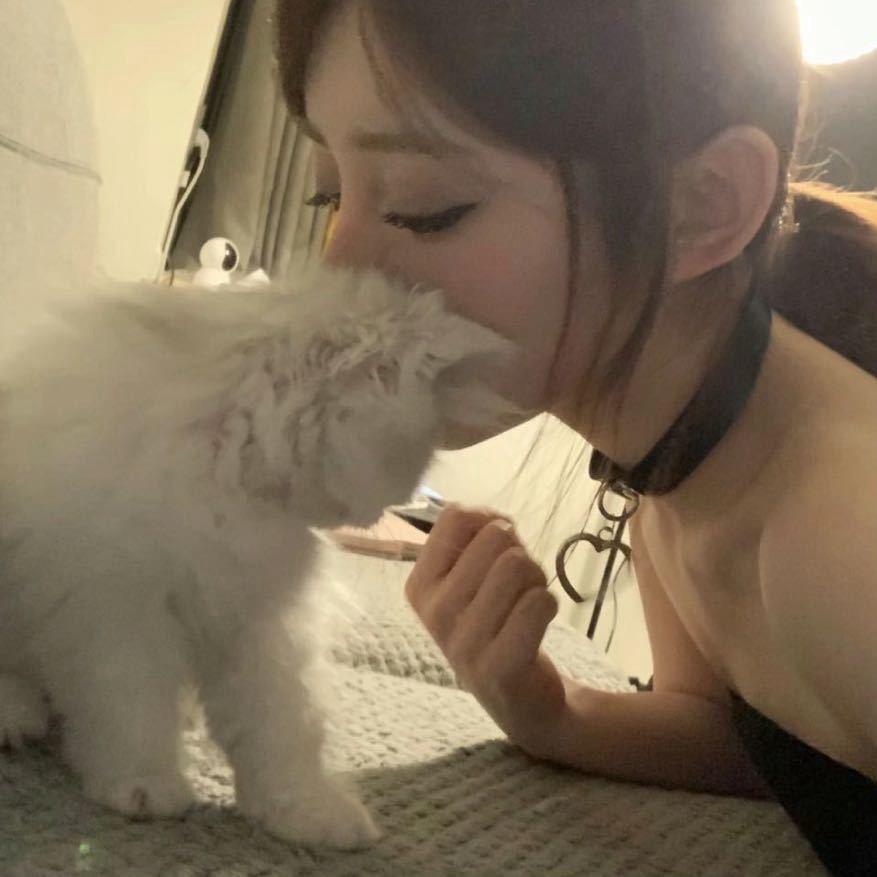 无情大妈冷冰冰