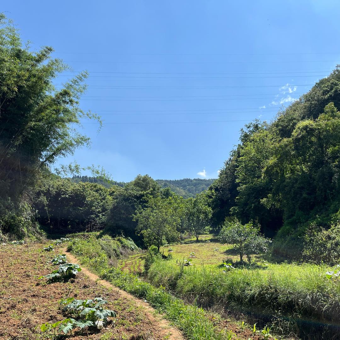 你这人