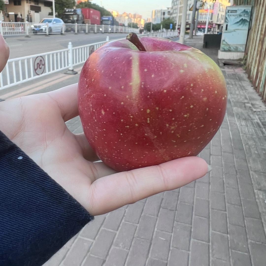兴珍..🍓