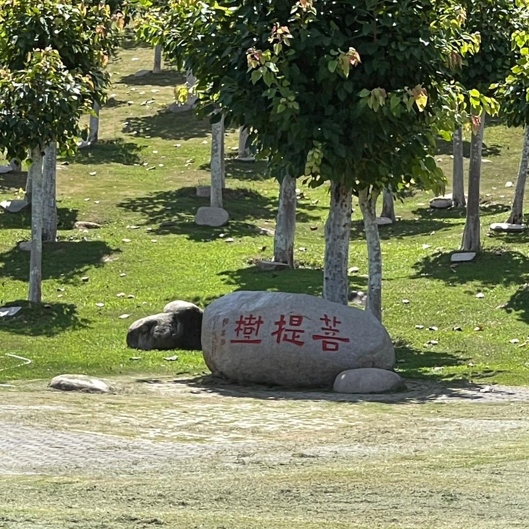 春天