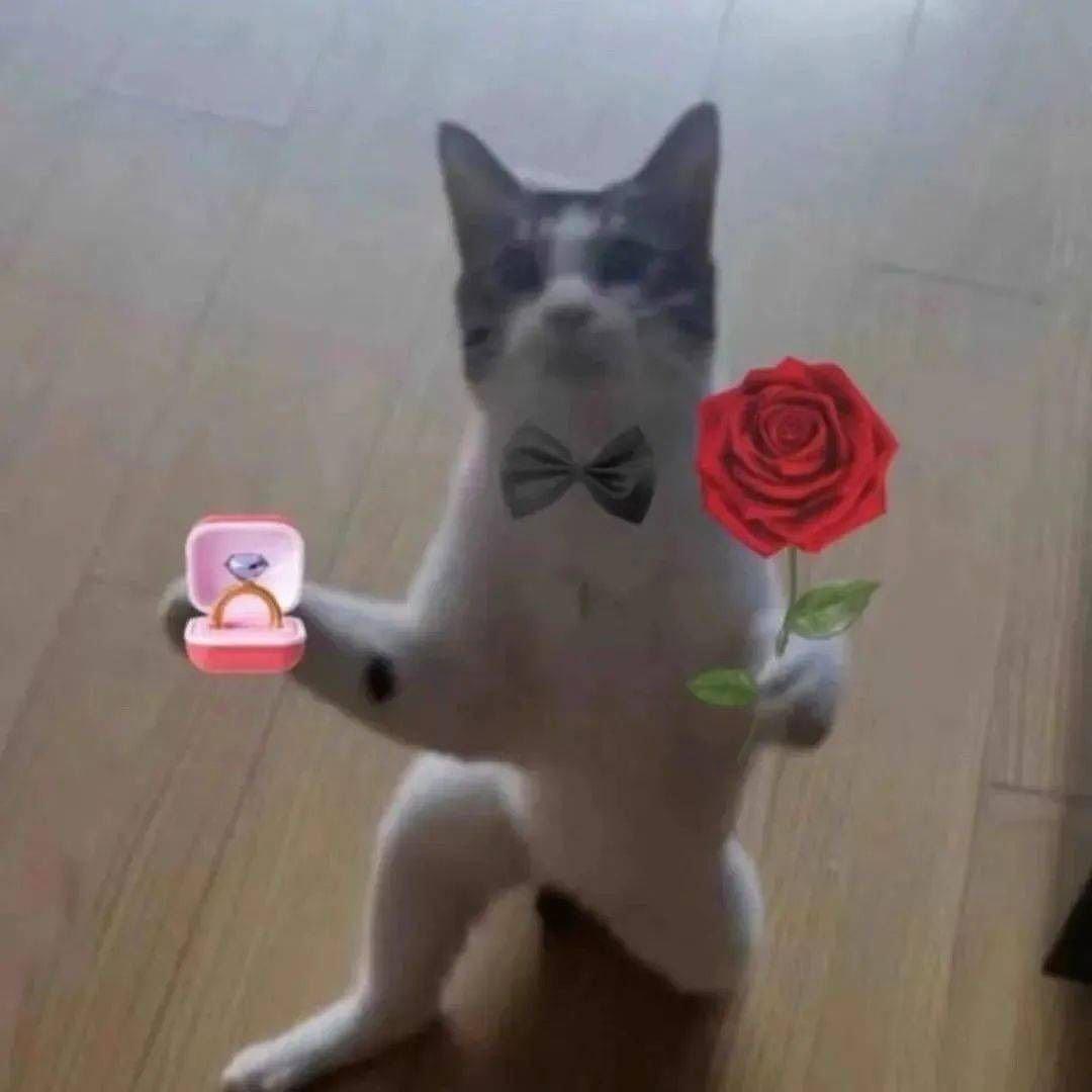 财神爷！请给我5个亿