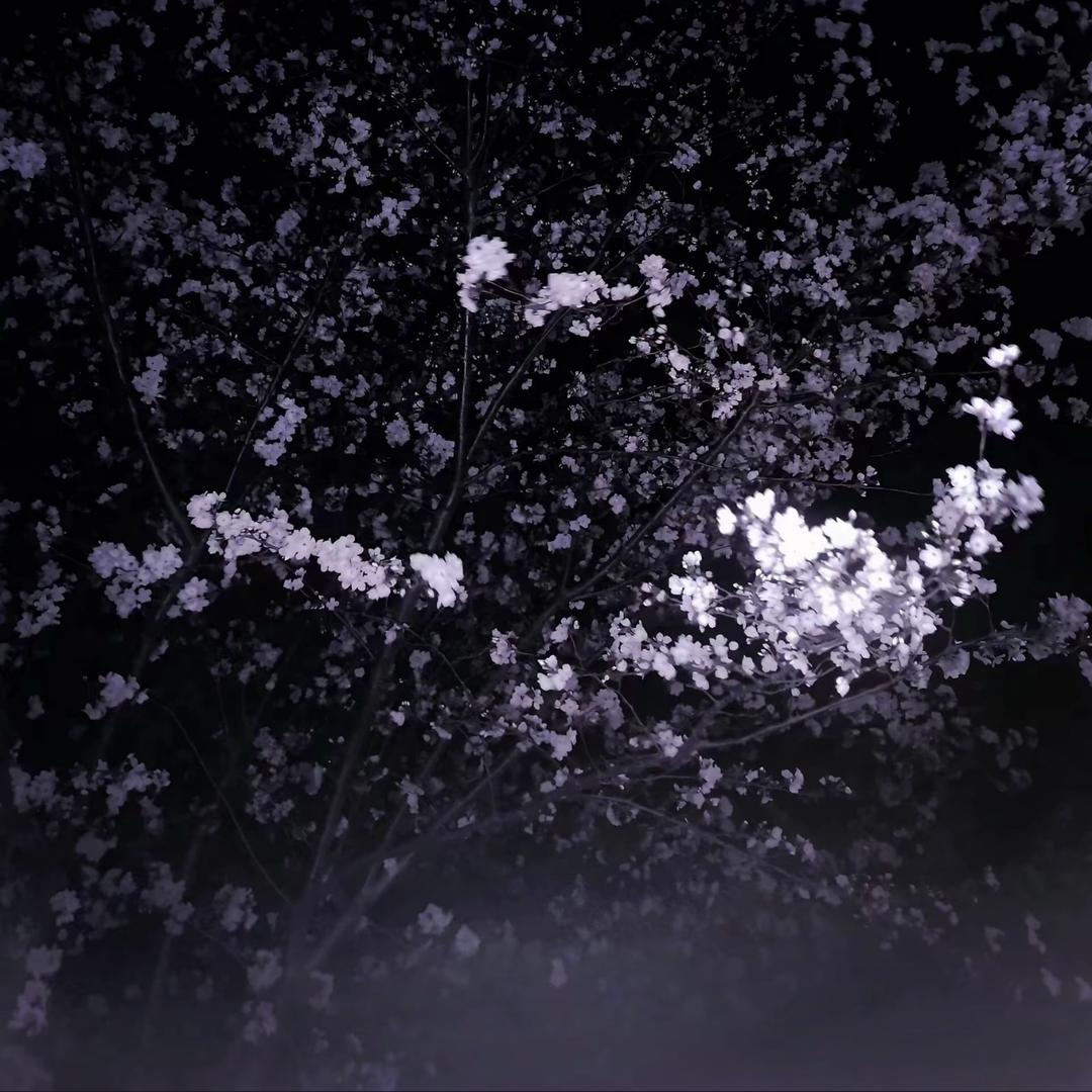 。。。。。。。