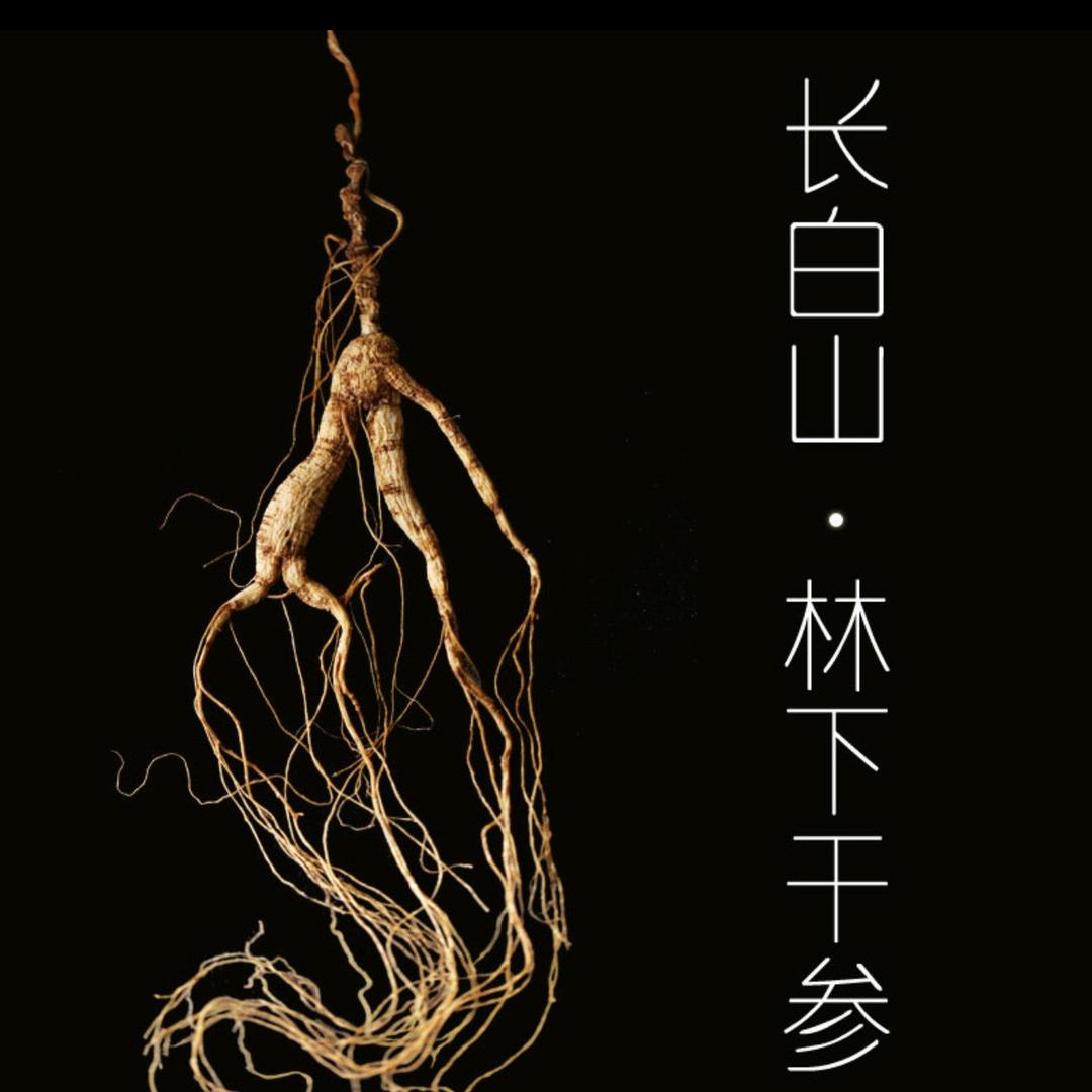 长白山老山参