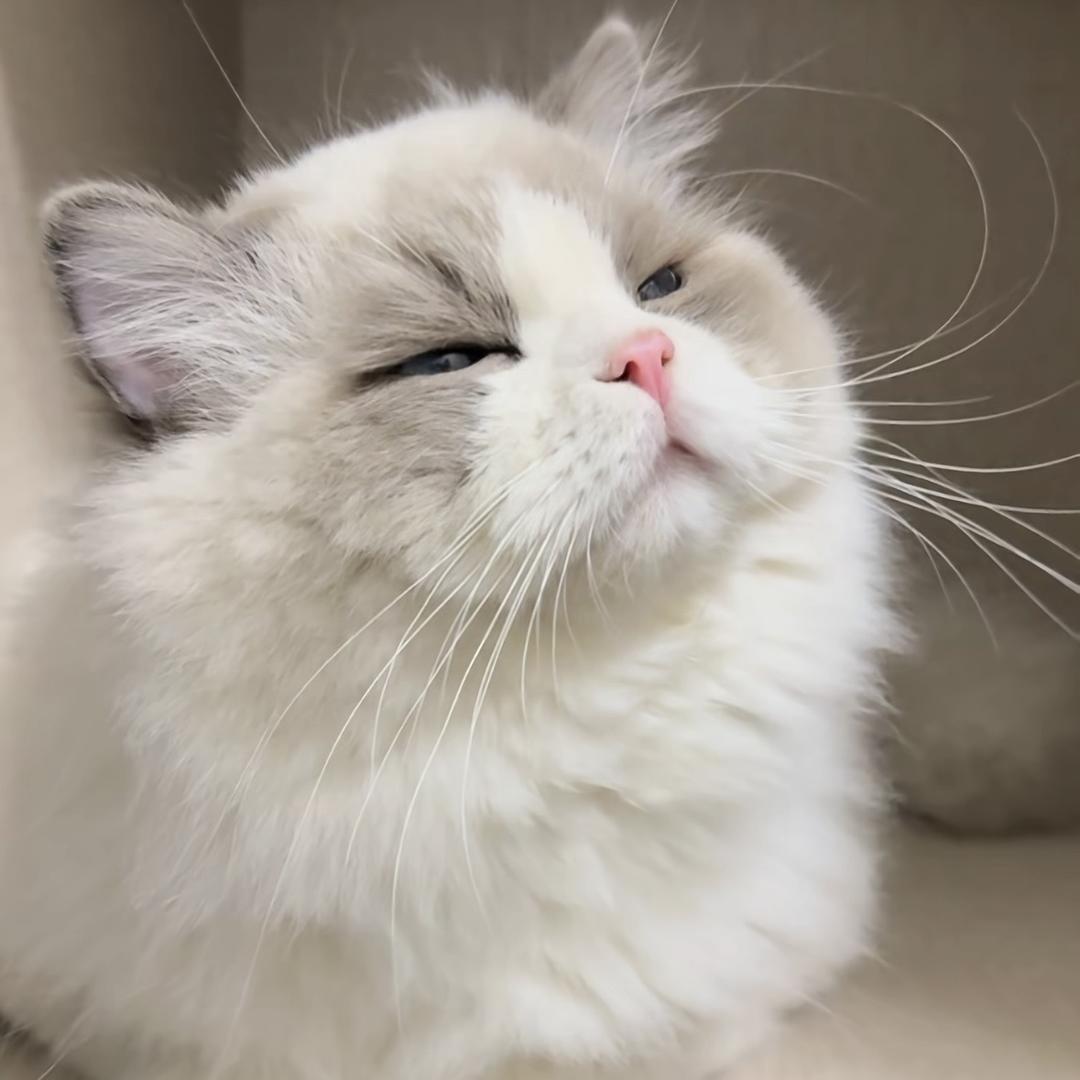 又活了一天～