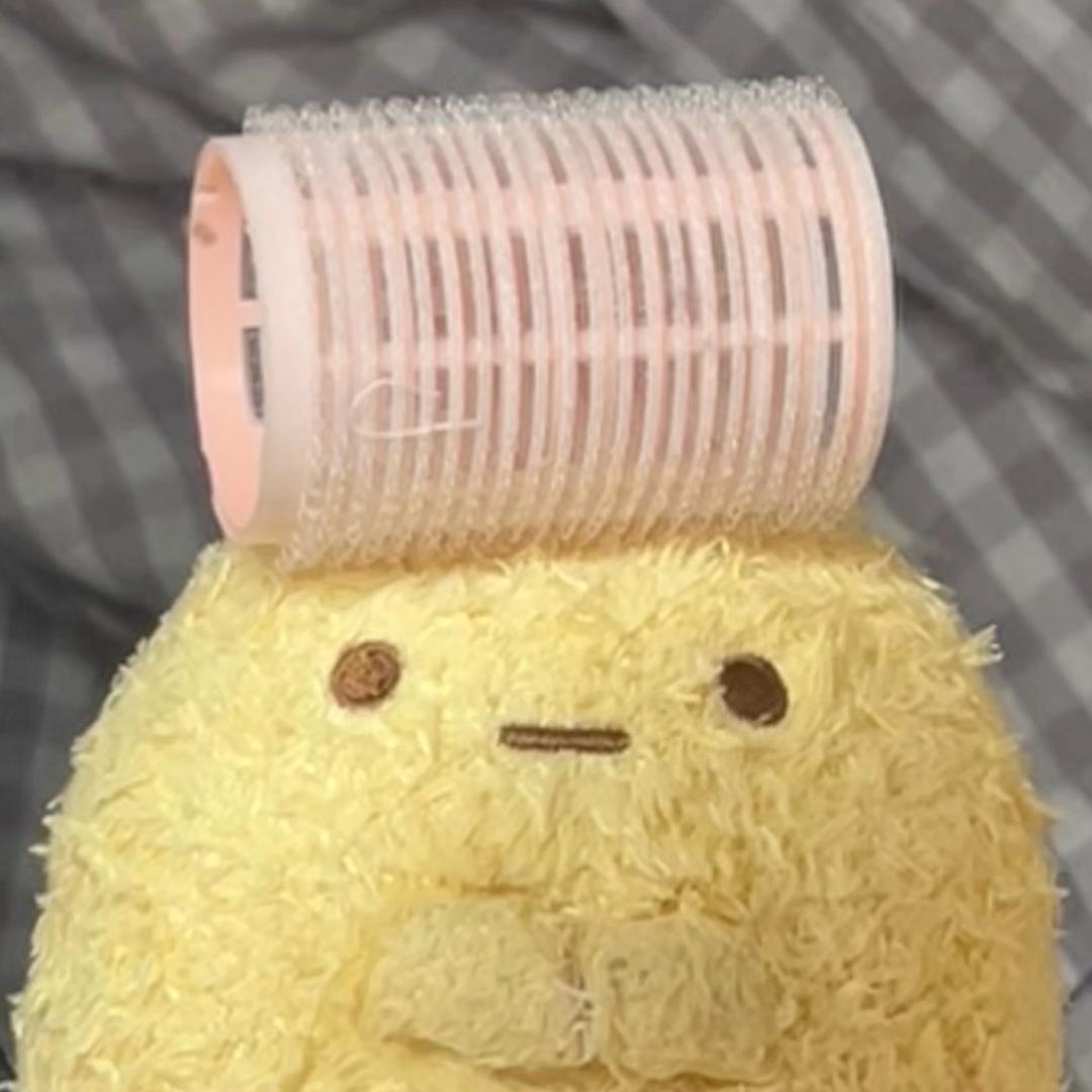 小熊