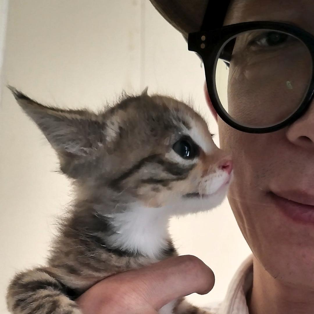 爱吃猫粮的胖子飞