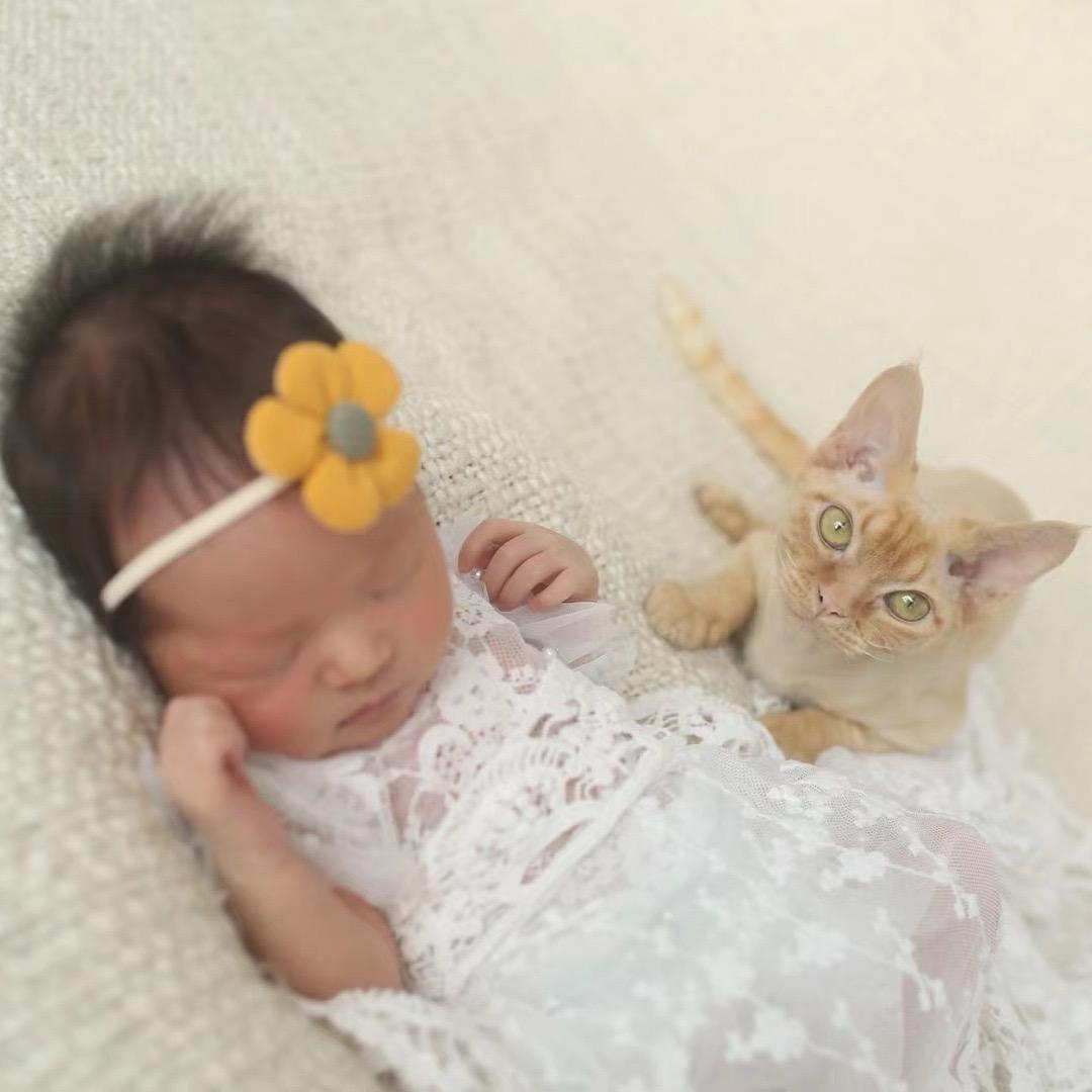 猫猫哥的日常