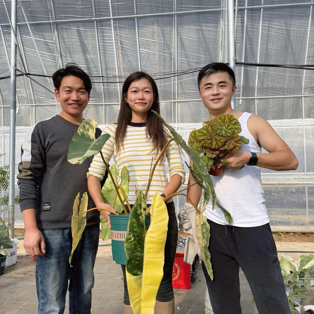 老花医热植馆