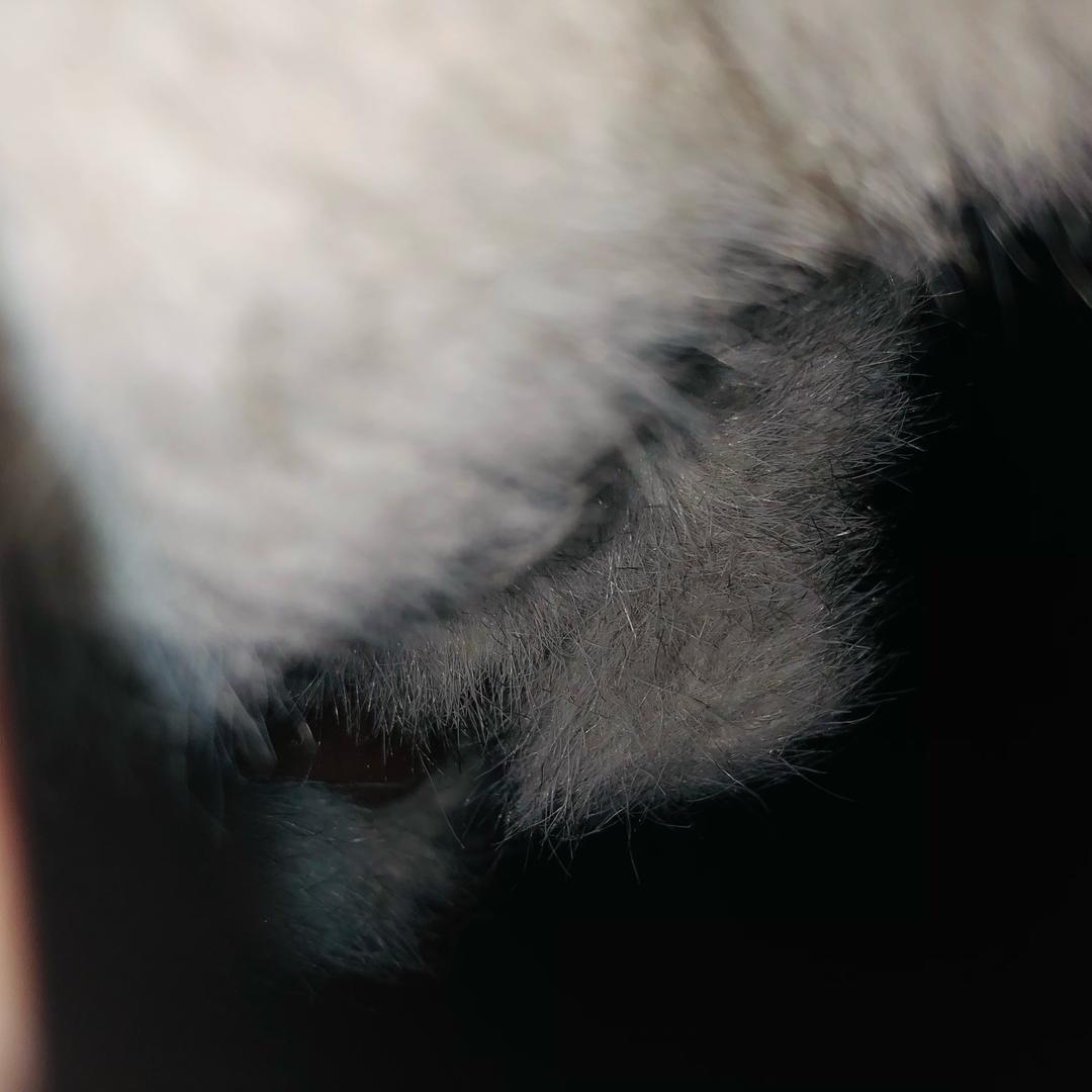 海口爱宜集商贸有限公司