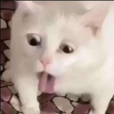 Yu7
