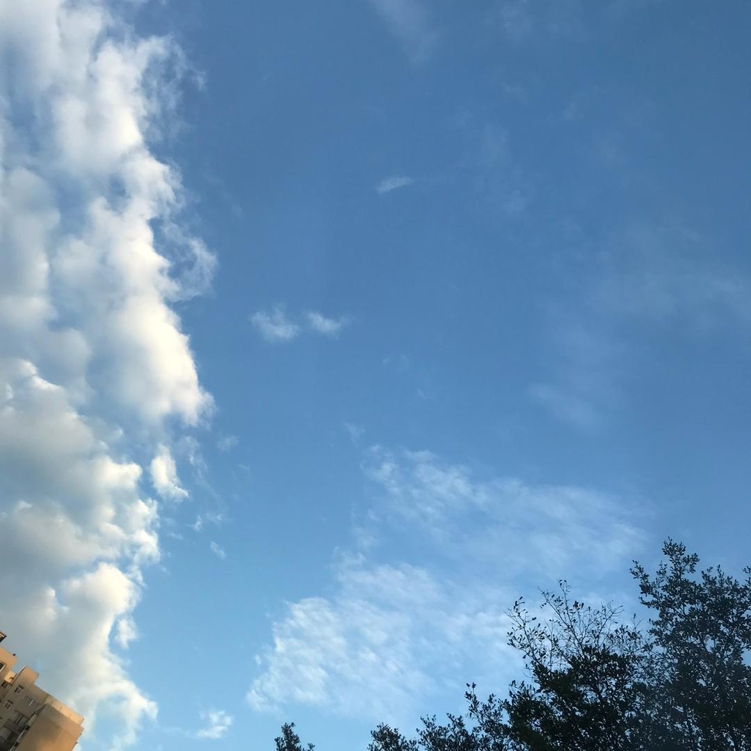 雨后彩虹🌈