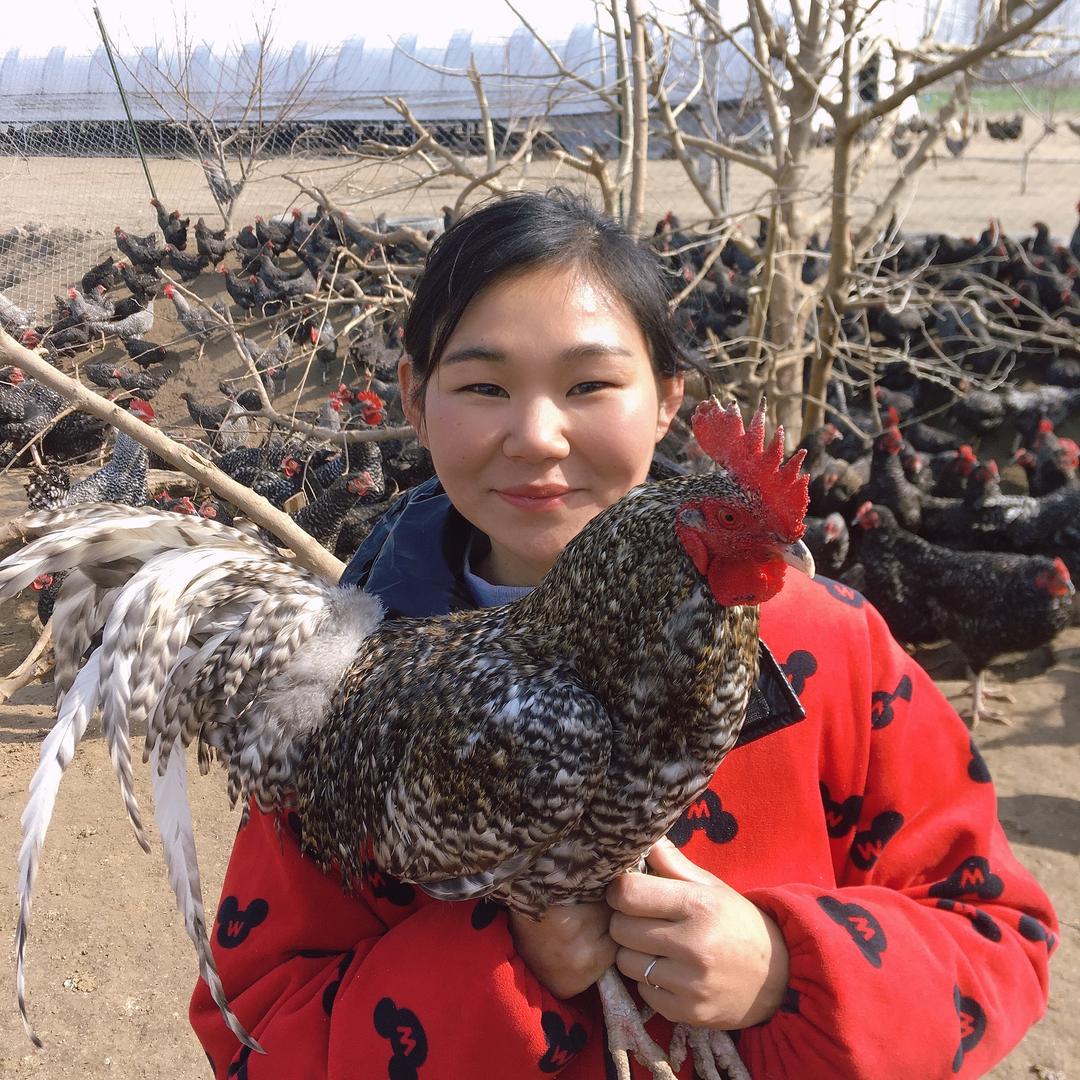 90后小芳(重新出发)