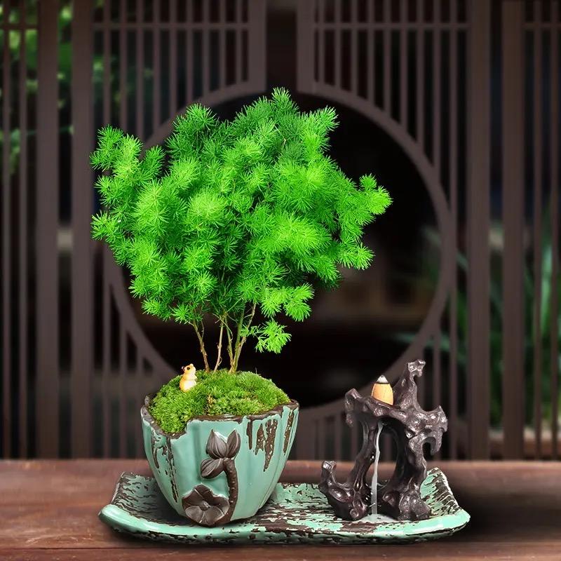 韵绿园艺场