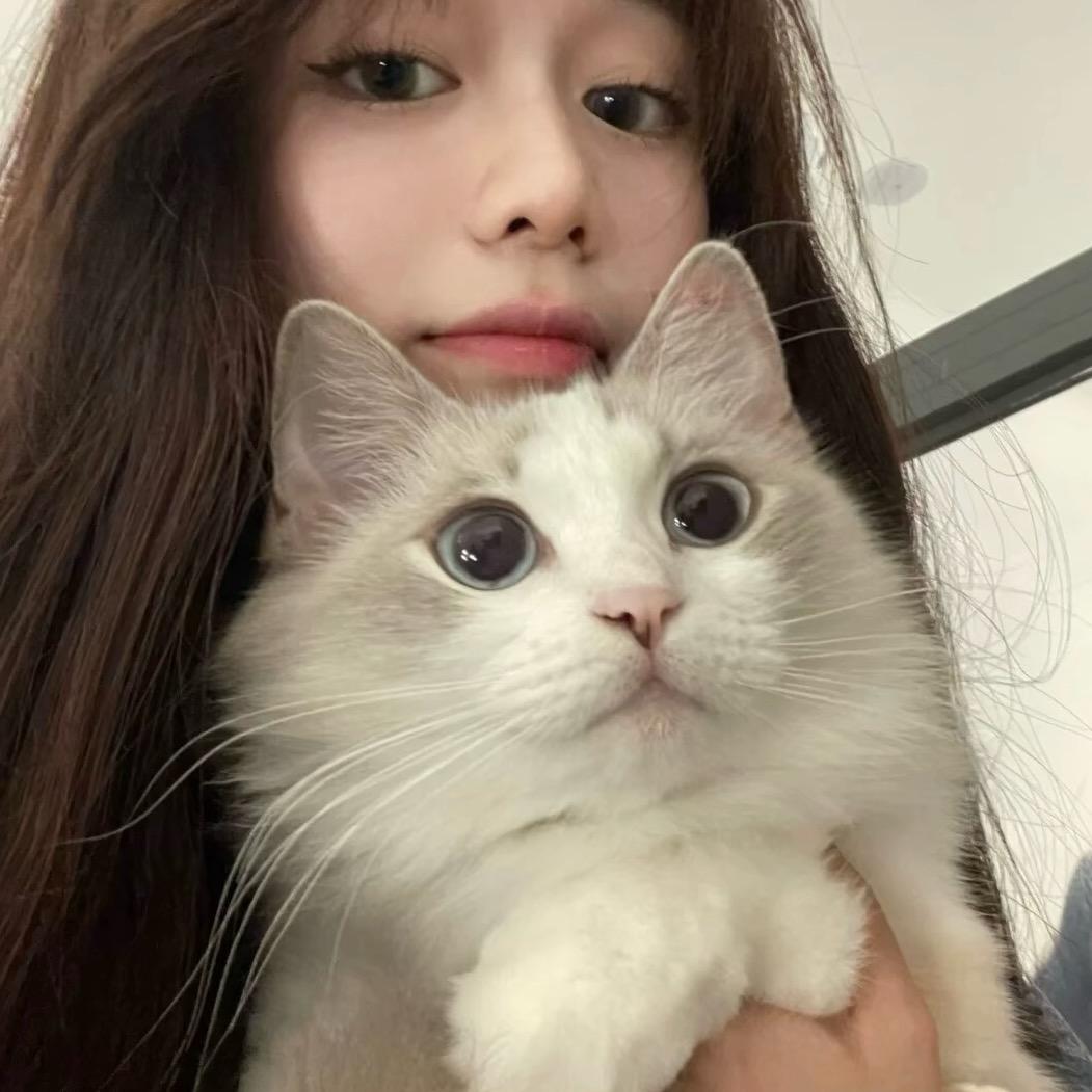 🌈小菲不飞_