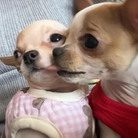 不想练琴