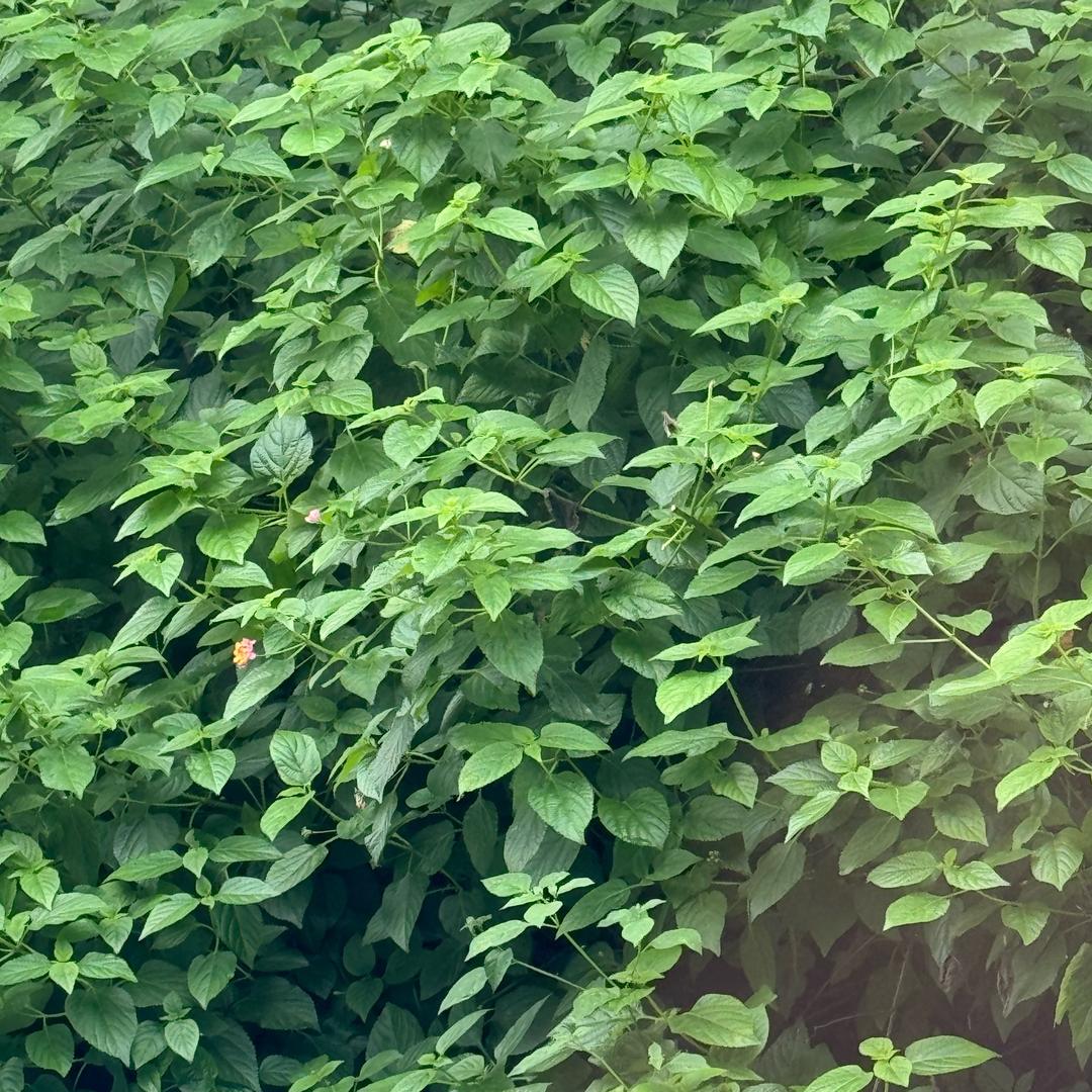 心灵港湾之