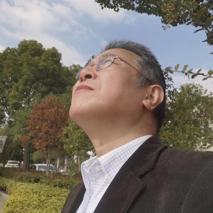枫叶漫谈