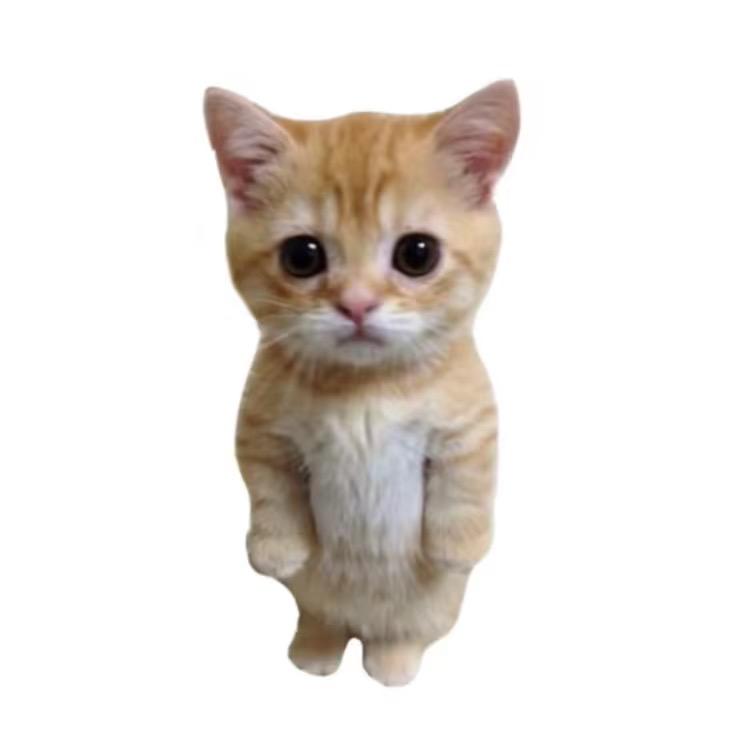杀我别拿小猫刀