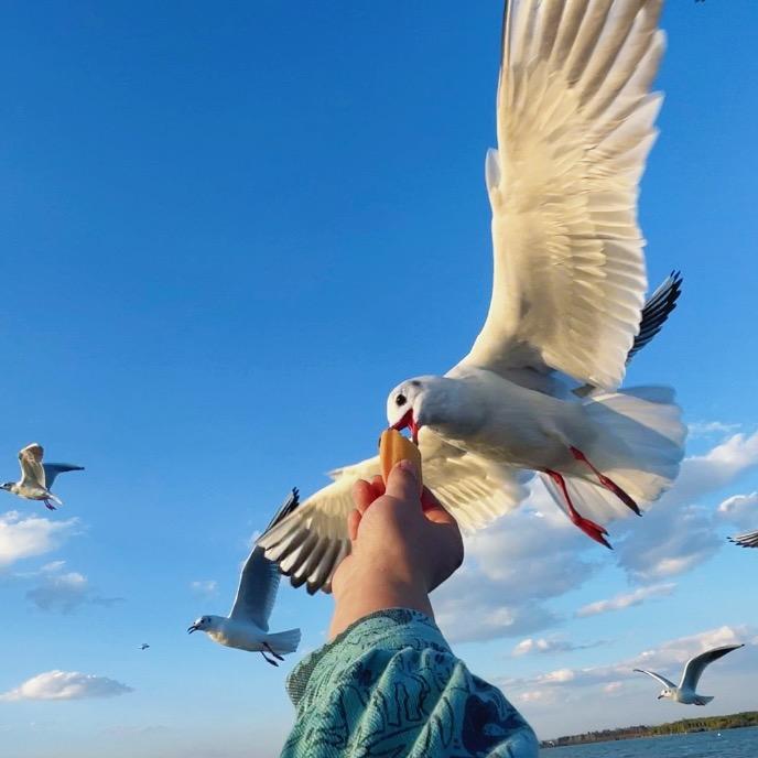 忆寒