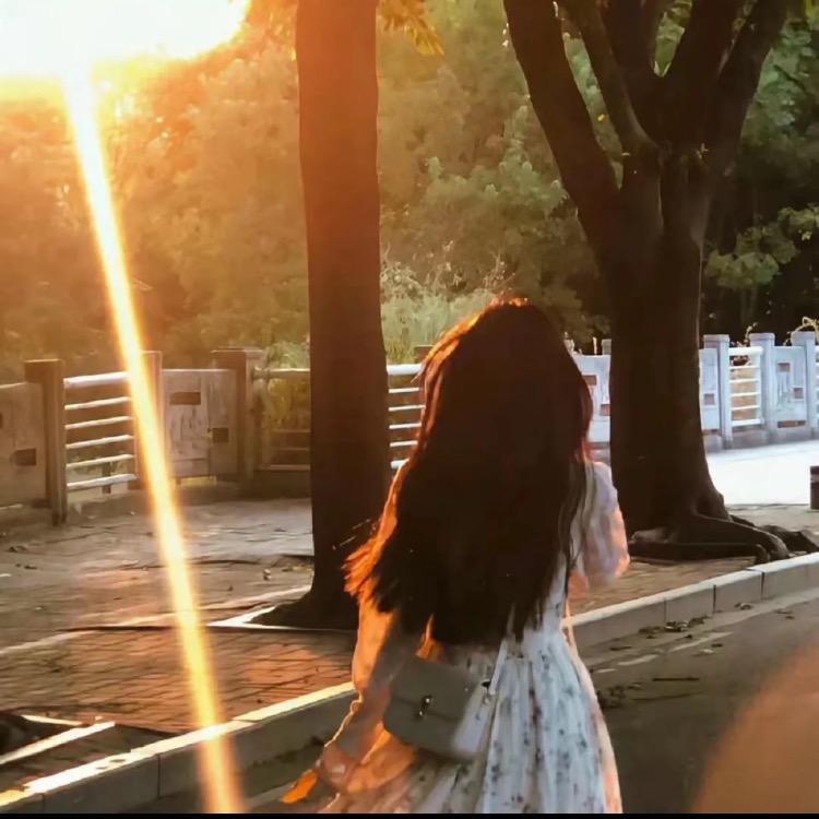 志合运营-鱼鱼