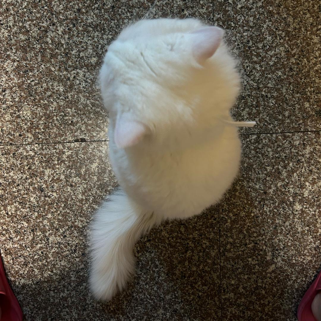 🌈出了名的帅（见过十个勤天专场版）