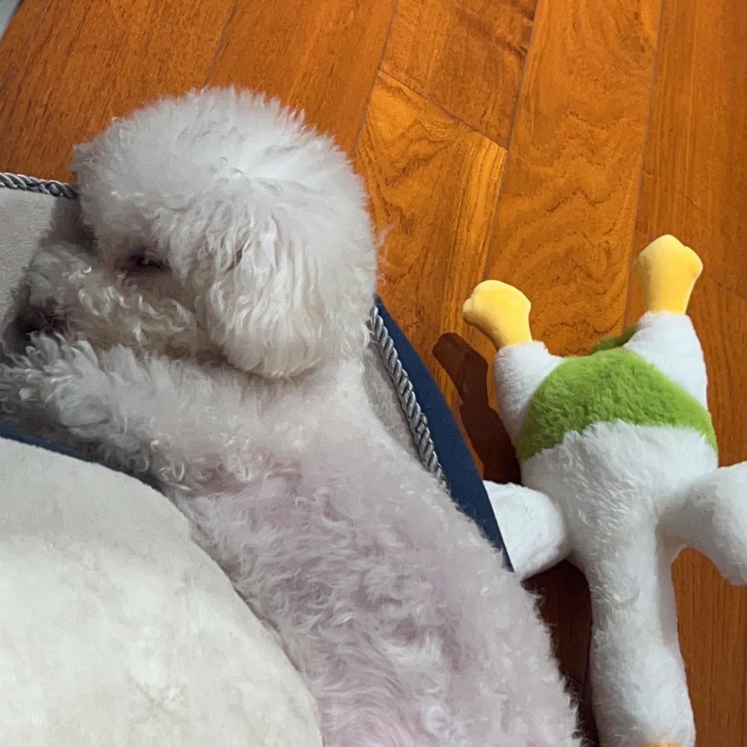 仁美（出家版）