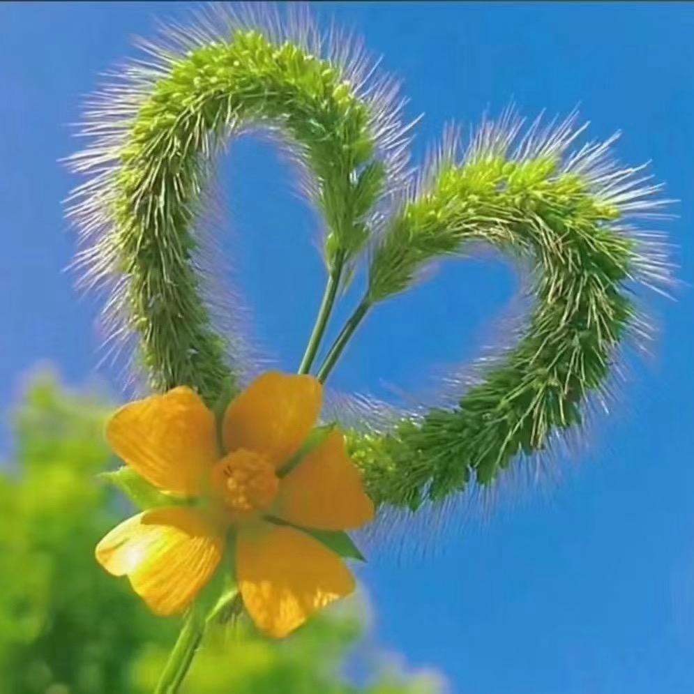 赵总不是总（念父）