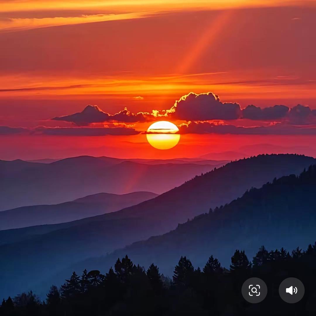 ꪋꪆ᭄吉祥三宝来了💕ഒᩚ࿐
