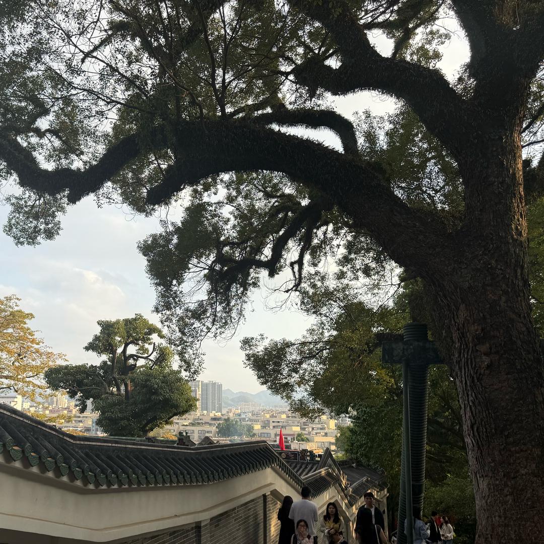 打卡日记
