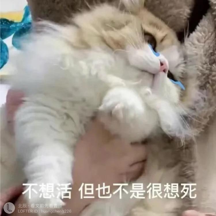青鸟