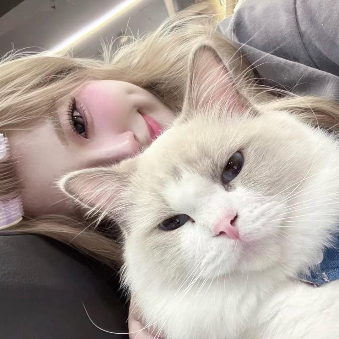要泥猫点点