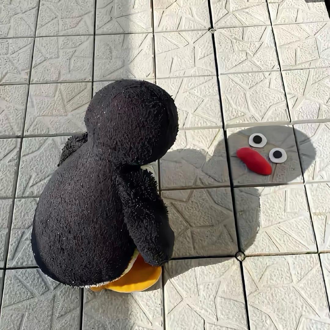 皮蛋solo粥