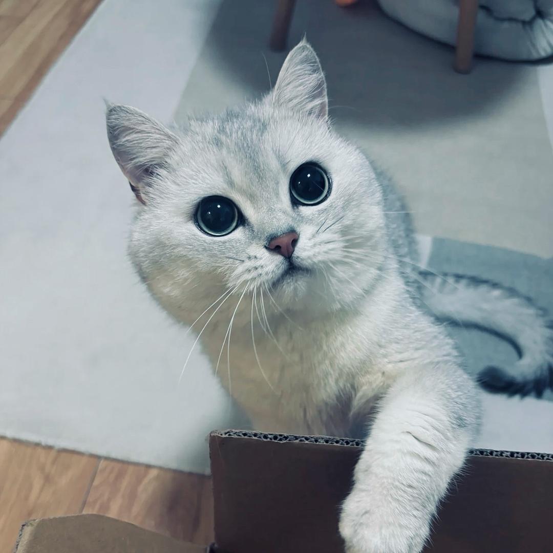 ⁥⁥⁥⁥忧