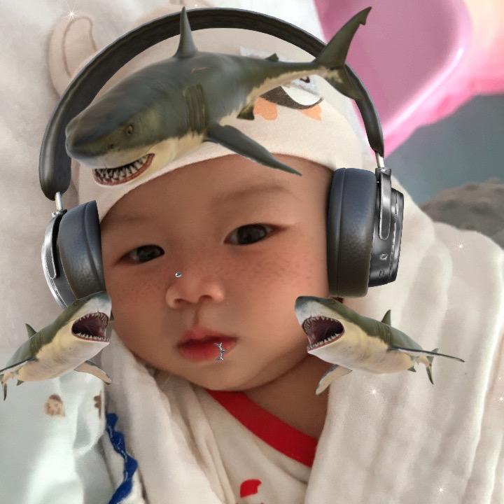 明明崽